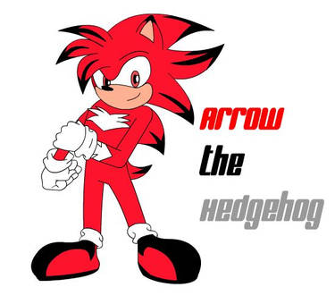 PC: Arrow the hedgehog