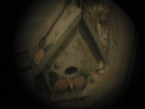 old bird house