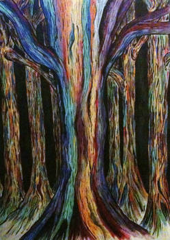 Rainbow Eucalyptus Forest