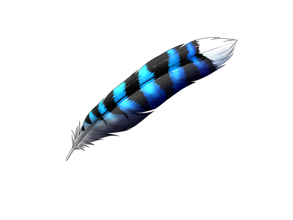 Blue Jay Feather By Thesilentjay On Deviantart Blue Jay Feather By Thesilentjay On Deviantart