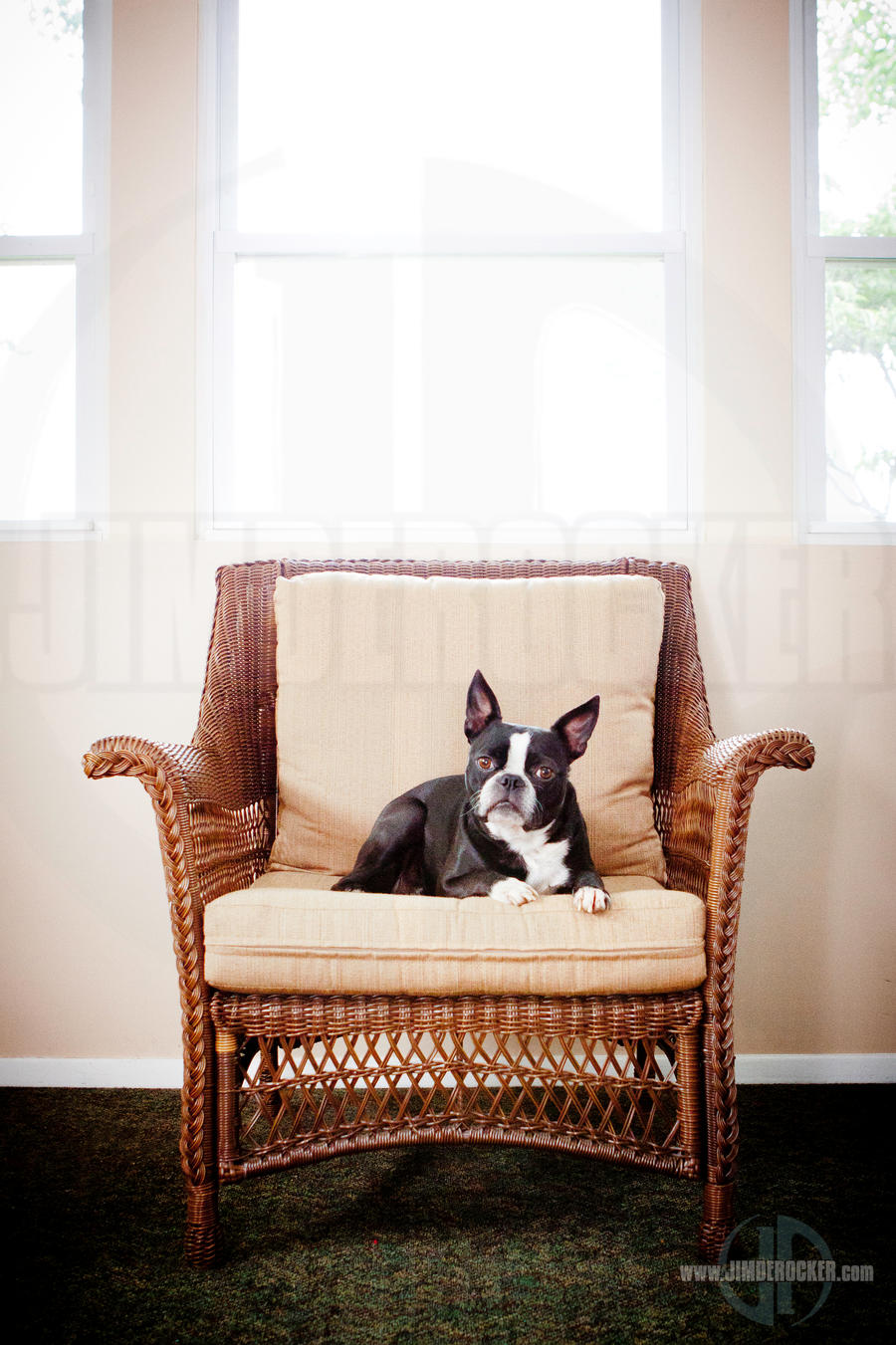 Lenny in Chair