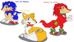 Sonic Pets style (Team Sonic)