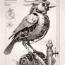 Mechanical Steampunk Bird