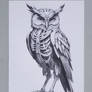 Biomechanical Owl