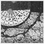 Abstract Photography II