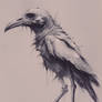 Horror Bird