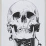 Drawing of a Cyborg-Skull