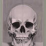 Alien-skull study III