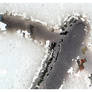 Informal Abstract Nr 37