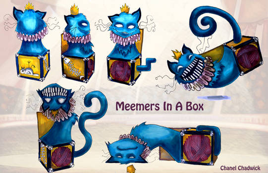 Meemers in a box
