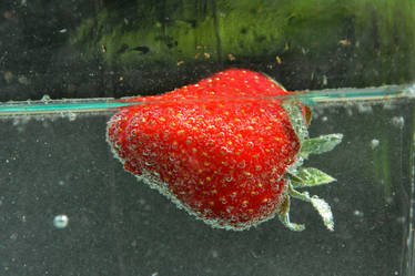 Strawberry 3