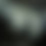 Sniper Ghost Warrior 2
