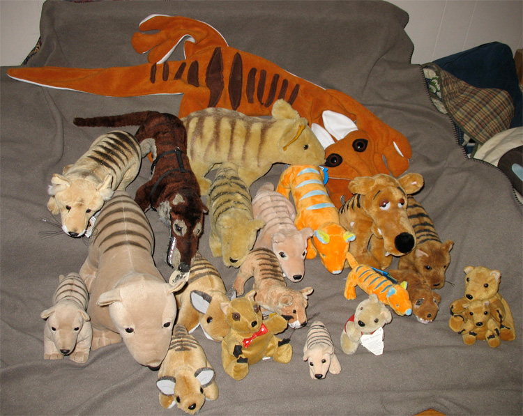 Plush Thylacine Familt