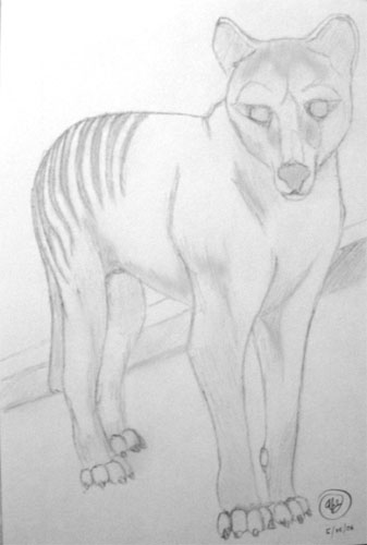 Thylacine ATC