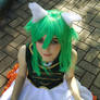 A Cat's Sunny Day