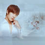 Park Jung Min Wallpaper