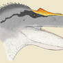 Baryonyx coloured