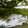 Horse Shoe Falls Llangollen