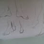 Anatomical study of the feet 2