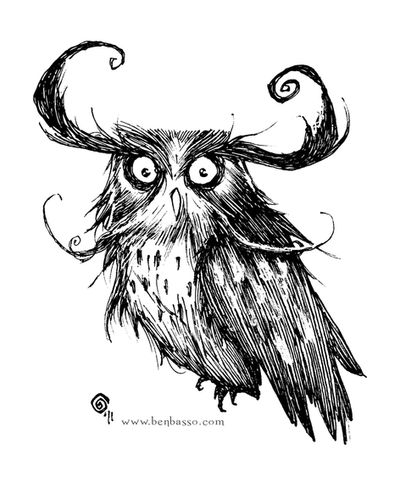 Owl