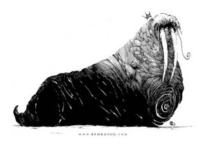 Walrus