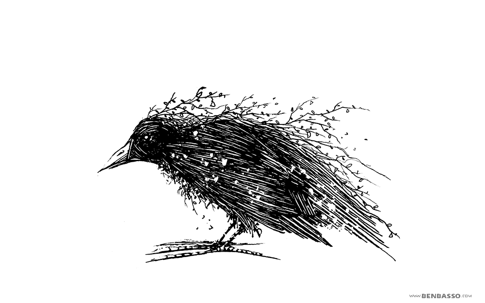 Crow by BenBASSO