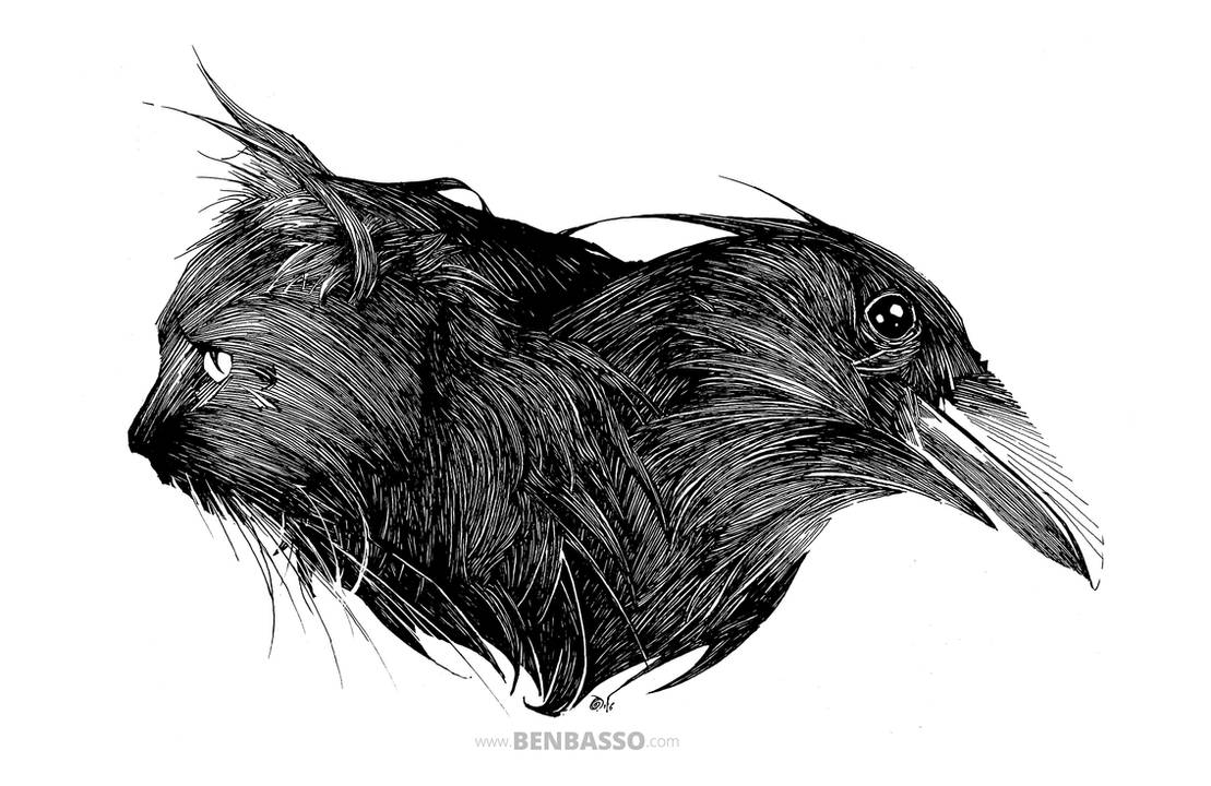 The Raven and the Cat by BenBASSO