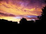 shepherds warning.. by Shadow-Angel-10