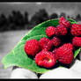 Raspberry