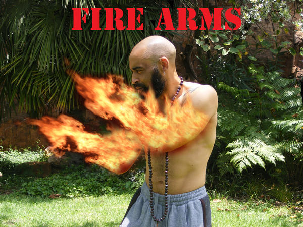 Fire Arms by Albatross101 on DeviantArt