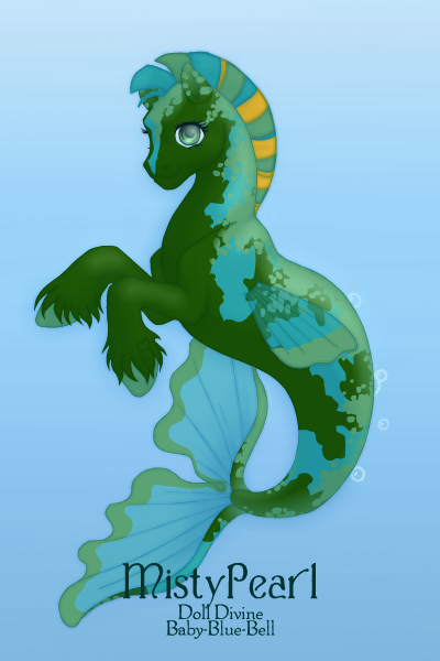 seahorse 11