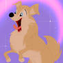 Long Haired Chihuahua October 2026
