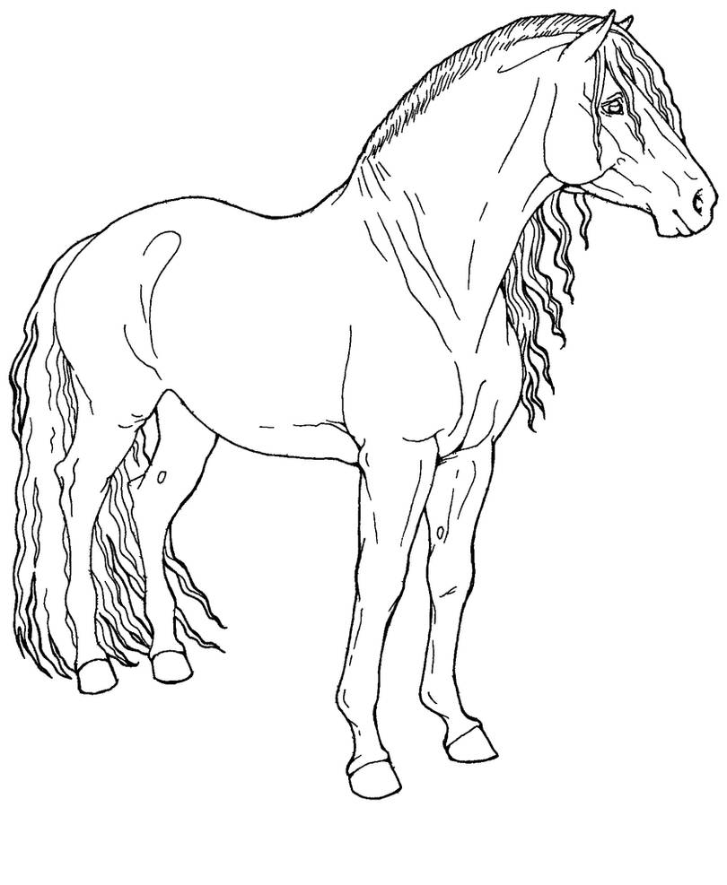 Раскрасить лошадку. Раскраска. Лошади. Раскраска лошади красивые. Лошадка рисунок. Лошадка раскраска для детей.