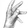 Hand Study Pencil