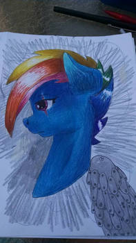 War Rainbow Dash