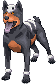 Animated Houndour