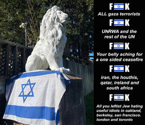 WE ARE LIONS and we stand with ISRAEL...f%#k hamas