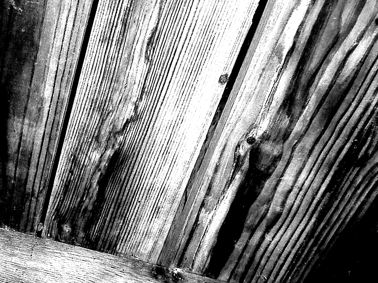 details on a wood grain