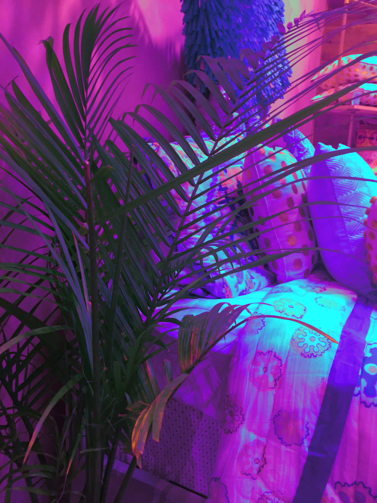 tumblr o6zm7xmnXg1v6tih7o1 1280