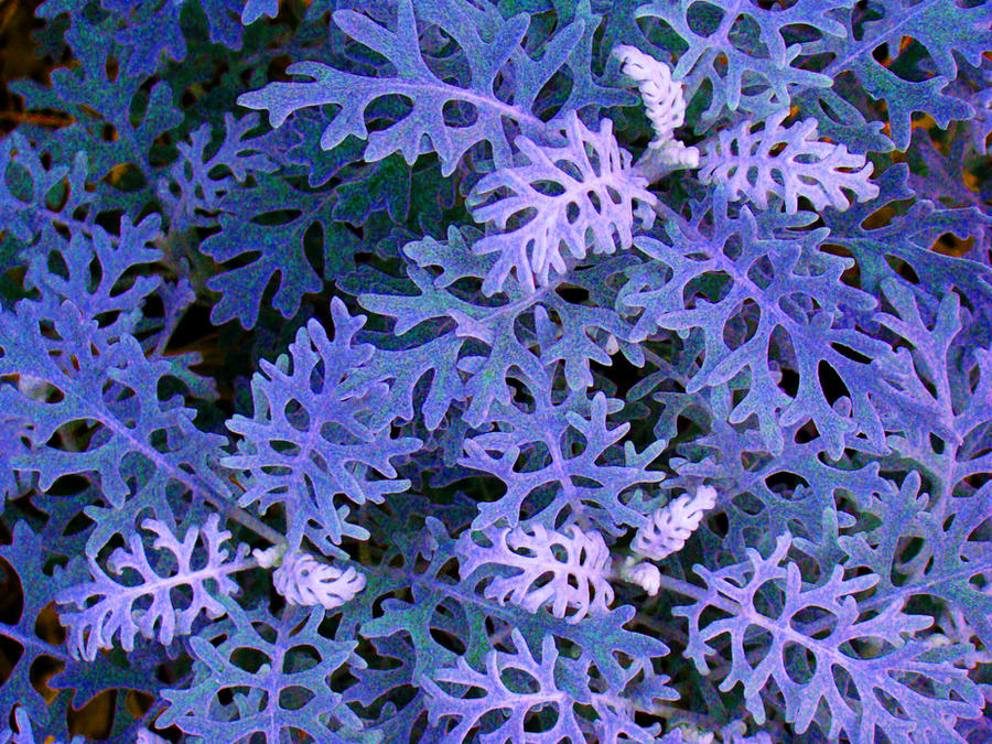 Groowing Texture Growing Texture by Sarelm on DeviantArt