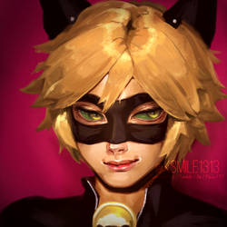 Chat Noir