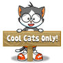 Milo the cat from Handipoints Transparent pic