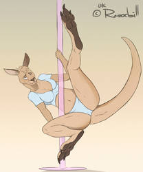 Kangaroo babe - GIRL ARMOUR COMIC PROMO by RazorbillAnimation