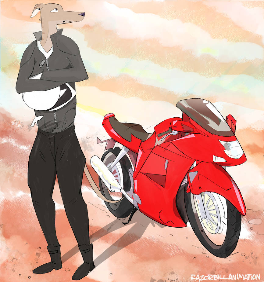Motorbike Rider - Final by RazorbillAnimation on DeviantArt