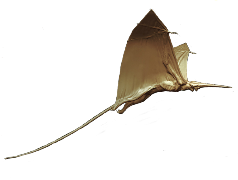 Leaf Wing Rig Leafwing - MonsterVerse by OmegaBeastGodzilla on DeviantArt