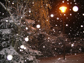 Un parc en hiver...