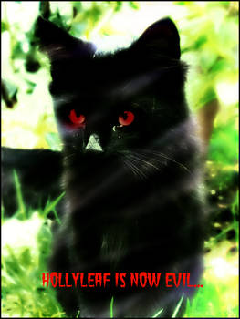 Evil Hollyleaf