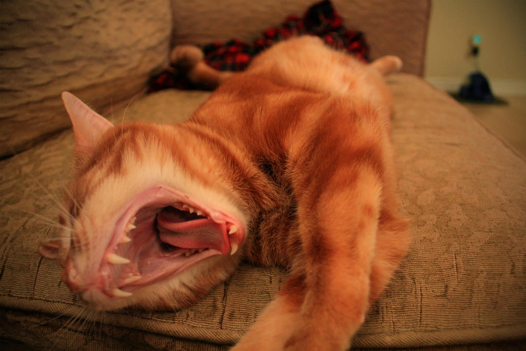 Aidan yawning