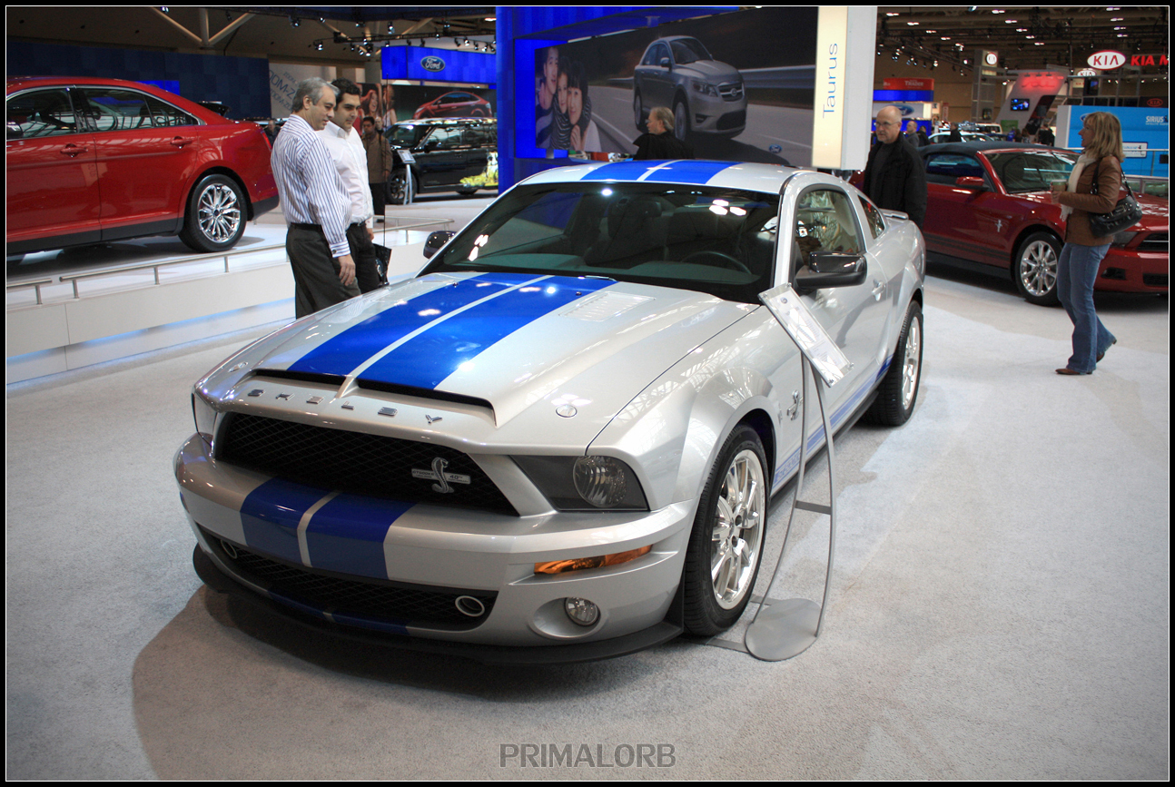 Shelby Mustang