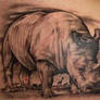 Srdjan tattoo - rhinoceros